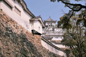 y{̕i^PH̃|XgJ[hzɌPHsPĤ͂nKL photo by MIRO