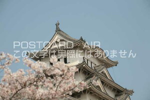 y{̕i^PH̃|XgJ[hzɌPHsPĤ͂nKL photo by MIRO