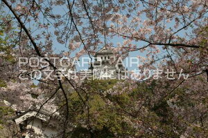 y{̕i^PH̃|XgJ[hzɌPHsPĤ͂nKL photo by MIRO