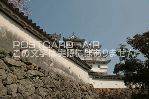 y{̕i^PH̃|XgJ[hzɌPHsPĤ͂nKL photo by MIRO