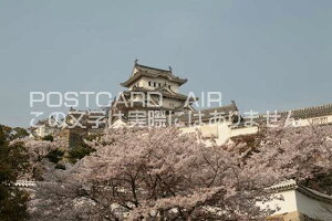 y{̕i^PH̃|XgJ[hzɌPHsPĤ͂nKL photo by MIRO