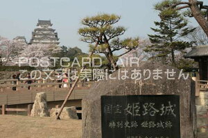 y{̕i^PH̃|XgJ[hzɌPHsPĤ͂nKL photo by MIRO