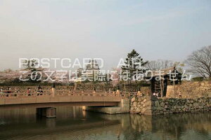 y{̕i^PH̃|XgJ[hzɌPHsPĤ͂nKL photo by MIRO