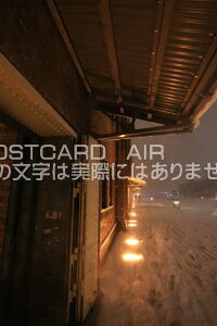 y{̕i^l̃|XgJ[hz_ސ쌧ls݂ȂƂ݂炢ԃKqɂ̂͂nKL photo by MIRO