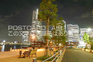 y{̕i^l̃|XgJ[hz_ސ쌧ls݂ȂƂ݂炢̖î͂nKL photo by MIRO