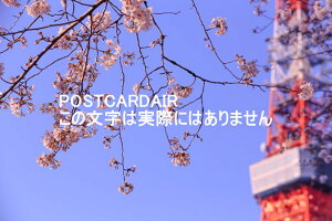 y{̕i^̃|XgJ[hzs`擌^[ƍEt̂͂nKL photo by MIRO