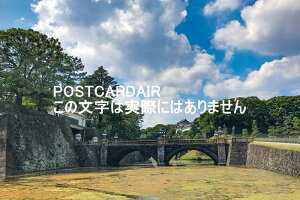 y{̕i^̃|XgJ[hz100-8111 scc1|1cEd̂͂nKL photo by MIRO