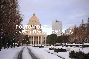 y{̕i^̃|XgJ100-0014 scic17|1̍ĉ͂nKL photo by MIRO