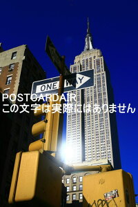 y{̕i^AJ̃|XgJ[hzAJEj[[NB̃j[[NGpCAXe[grƌ_MAʍsTC̃|XgJ[ĥ͂nKL photo by MIRO