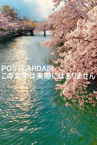 y{̕i|XgJ[hzss̍iƍjtJ̃|XgJ[hit͂tHgJ[hGtj