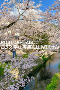 y{̕i|XgJ[hzsst̍iƍjtJ̃|XgJ[hit͂tHgJ[hGtj