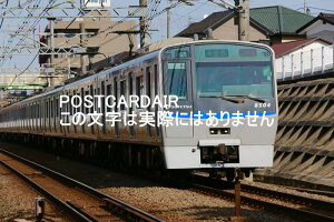 yS̃|XgJ[hzv͓SiSj8000ndԂls𑖂lq̗t@nKL@photo by MIRO