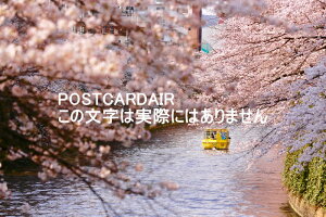 y{̕i|XgJ[hzJ̖ڍ쉈i@͂nKLt photo by MIRO