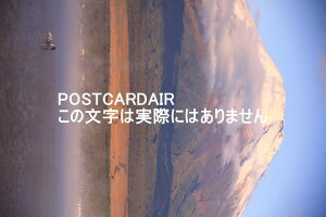 y{̕i|XgJ[hz{̏ےႪςxmRƌ΂̔̃nKL͂@photo by MIRO