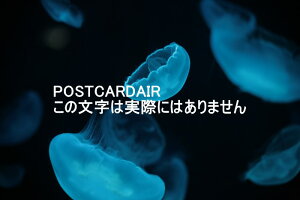 yC̐|XgJ[hAIRzu[̊CNQ̃J[h|XgJ[hGtnKL͂