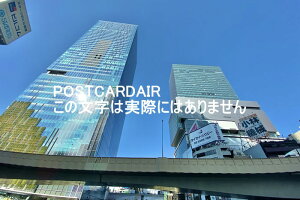 y{̕i^̃|XgJ[hz150-0002 saJaJ224|12aJXNuXNGAƃqJĜ͂nKLttHgJ[h photo by MIRO