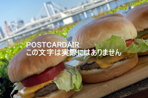 yH̃|XgJ[hz`[Yo[K[no[K[C{[ubW̃nKL͂ttHgJ[h@photo by MIRO