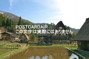 y{̕i|XgJ[hz򕌌S쑺@싽̗tnKL͂ photo by MIRO