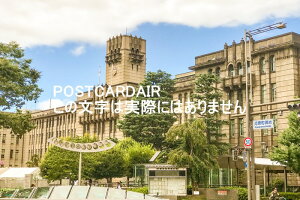 y{̕i|XgJ[hz2017Ns{ssEss̗tnKL͂ photo by MIRO