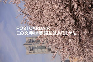 y{̏t̕i|XgJ[hz_ސ쌧ls剪̍Ɖlh}[N^[2013N̗tnKL͂ photo by MIRO