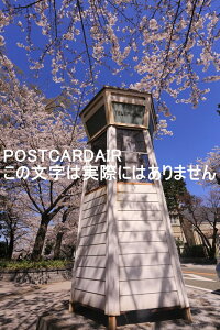 y{̏t̕i|XgJ[hz_ސ쌧ls挳̂̓db{bNXƍ2014N̗tnKL͂ photo by MIRO