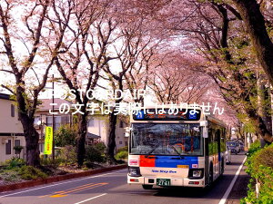 y{̕i|XgJ[hz_ސ쌧ls𑖂鑊SHoX̗tnKL͂ photo by MIRO