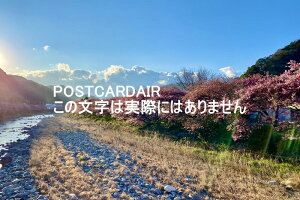 {̕i|XgJ[h@ÉΌS͒Ð̑̉͒Í̗tnKL͂ photo by MIRO