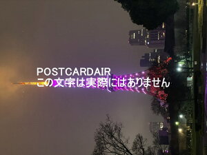 y{̕i|XgJ[hzXJCc[Ri[dl̃u[J[̂镗i@͂nKLt photo by MIRO