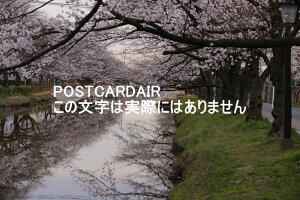 y{̕i|XgJ[hzʌsz̍2021N̂͂nKLt photo by MIRO