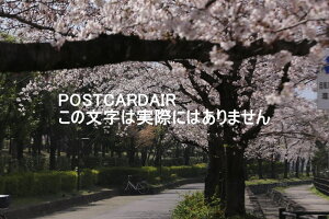 y{̕i|XgJ[hzʌs̍2021N̂͂nKLt photo by MIRO