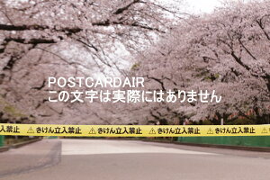 y{̕i|XgJ[hzs䓌̍ƃRïׂ̗֎~̂͂t@nKL@photo by MIRO
