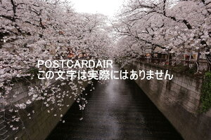 y{̕i|XgJ[hzJ̖ڍ쉈i@͂nKLt photo by MIRO