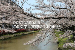 y{̕i|XgJ[hzʌsp̍2021N̂͂nKLt photo by MIRO