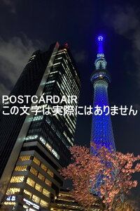 y{̕i|XgJ[hzXJCc[2021NRiΉJ[̂镗i@͂nKLt photo by MIRO