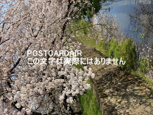 y{̕i|XgJ[hzʌgsʂ肳ʂ̍2021N̂͂nKLt photo by MIRO