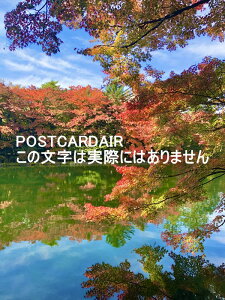 y{̕i|XgJ[hAIRz389-0102 쌧kvSy򒬌y򋌌y_r̂͂2020NtnKL͂ photo by MIRO