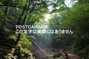 y{̕i|XgJ[hAIRz389-0111 쌧kvSy򒬒q̔̑@tnKL͂ photo by MIRO