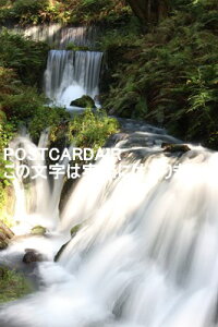 y{̕i|XgJ[hAIRz389-0111 쌧kvSy򒬒q̑̂͂2020NtnKL͂ photo by MIRO