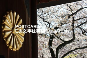 y{̕i|XgJ[hz102-8246 scik31|1_Ђ̋e̖͂ƍ̂͂nKLt photo by MIRO