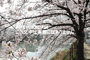 y{̕i|XgJ[hzʌs쉈̍2021N̂͂nKLt photo by MIRO