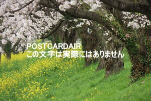 y{̕i|XgJ[hzʌSg̍2021N̂͂nKLt photo by MIRO