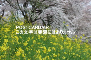 y{̕i|XgJ[hzʌSg̍2021N̂͂nKLt photo by MIRO