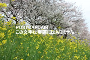 y{̕i|XgJ[hzʌSg̍2021N̂͂nKLt photo by MIRO