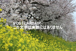 y{̕i|XgJ[hzʌSg̍2021N̂͂nKLt photo by MIRO