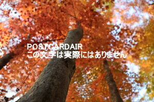 y{̕i|XgJ[hAIRz쌧̐ԐFAFɐFÂgt̗tnKL͂ photo by MIRO