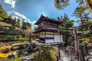 y{̕i|XgJ[hzs{sst̃|XgJ[hit͂tHgJ[hGtj