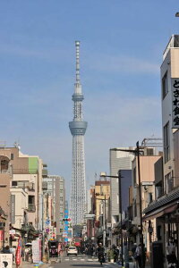 y{̕i|XgJ[hAIRz2022NXJCc[̂iFtnKL͂ photo by MIRO