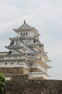 y{̕i|XgJ[hzɌPHsPH14̃nKL͂ photo by MIRO