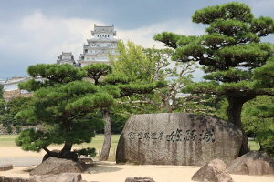 y{̕i|XgJ[hzɌPHsPH23̃nKL͂ photo by MIRO