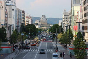 y{̕i|XgJ[hzɌPHsPHw猩PH2̃nKL͂ photo by MIRO